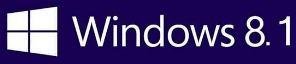 win8.1
